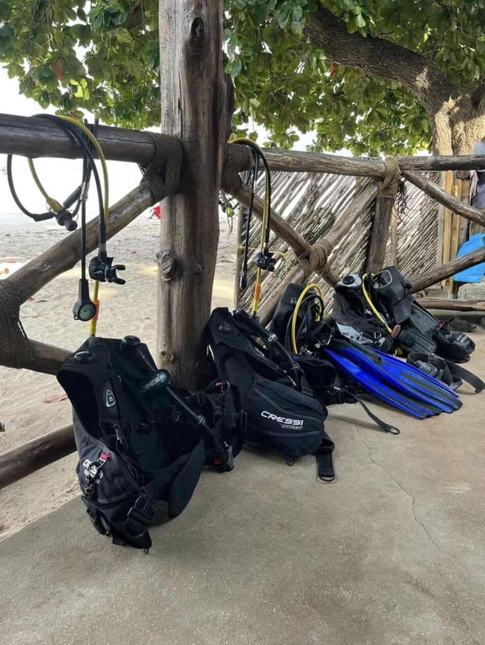 Kurs Scuba Diver (skrócona certyfikacja)